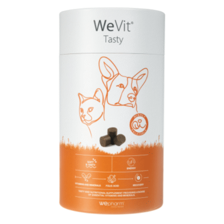WeVit Tasty pašaro papildas šunims ir katėms N30