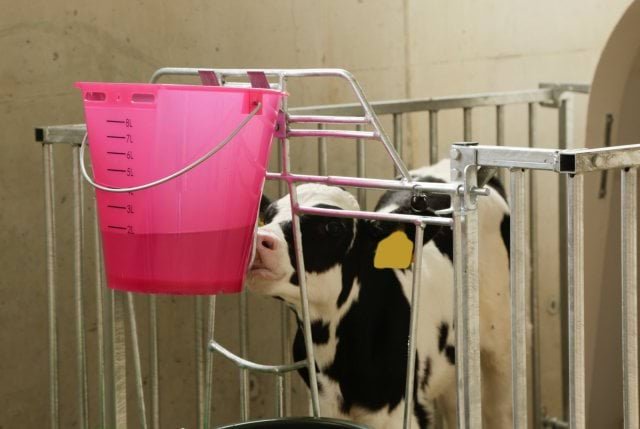 139179_Anwendungsbild_14268_83db