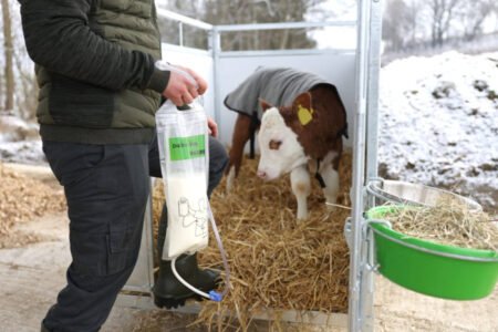 Maišelis skysčių girdymui, su zondu ir užtrauktuku, permatomas, 2,5 L
